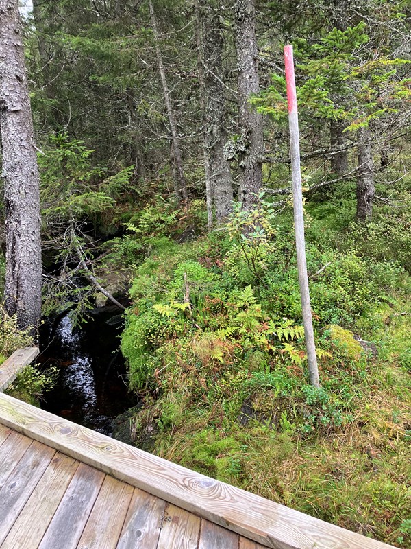 En stake som trenger friskere maling, Rundløypa ved krysset Formoløypa. Foto: Ellen Furuseth