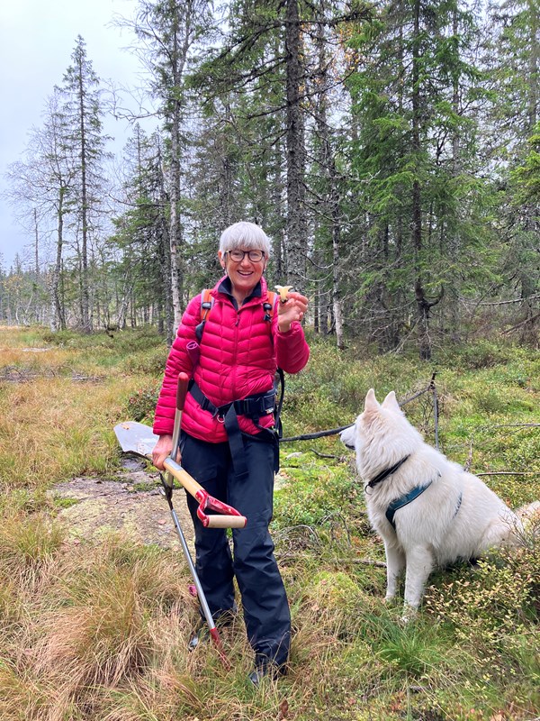 Ingeborg Wiese har funnet en veldig vakker krittøsterssopp i Formoløypa. Hun bør ikke spise den. Foto: Ellen Furuseth