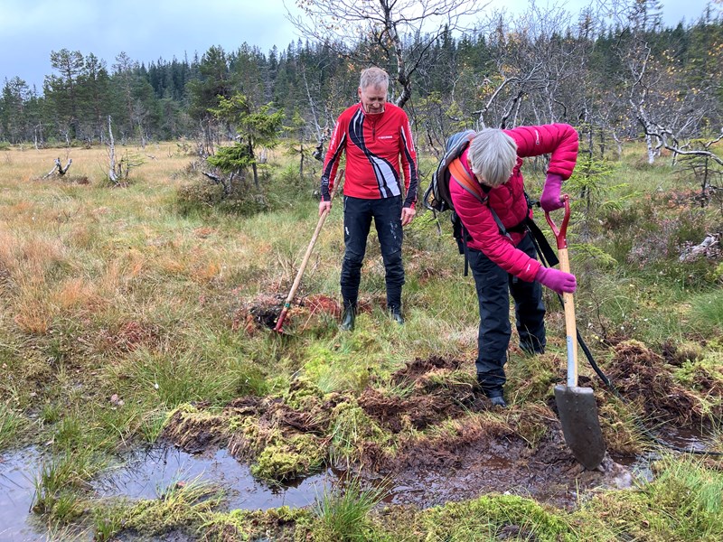 Kjell Ivar Skjemstad og Ingeborg Wiese med krafse og spade drenerer der løypa går utpå myra nedenfor Skillemyra. I den myra tar vannet løypa stadig. Foto: Ellen Furuseth