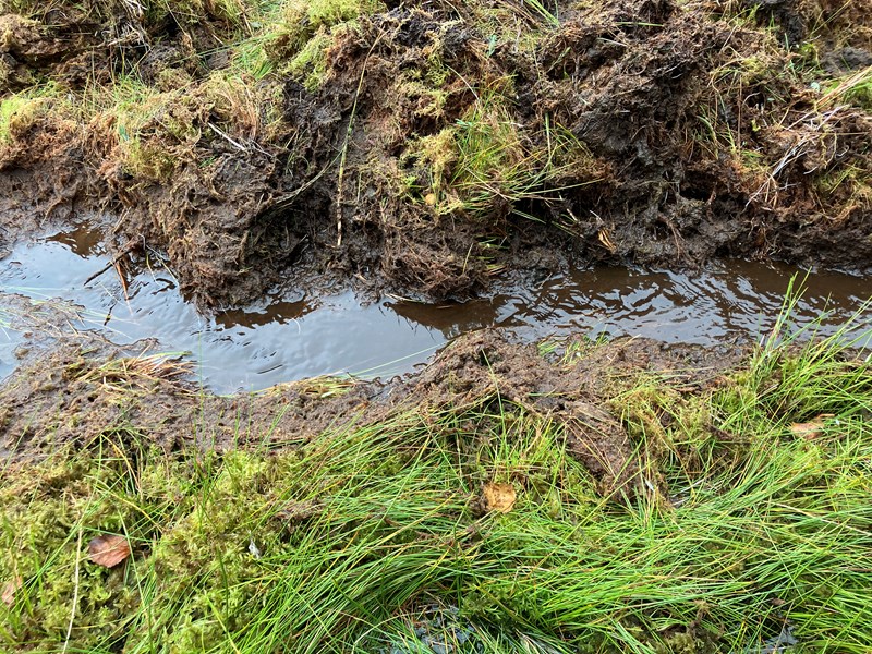 Formoløypa – vannet renner ut av løypetraseen – flott! Foto: Ellen Furuseth