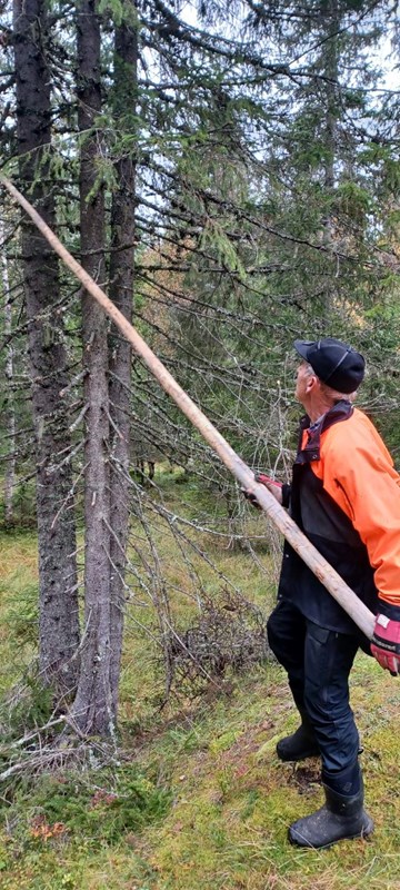 Dag Fredriksen med kvistkutter i løypa ved Putthaug Foto: Ellen Hansen