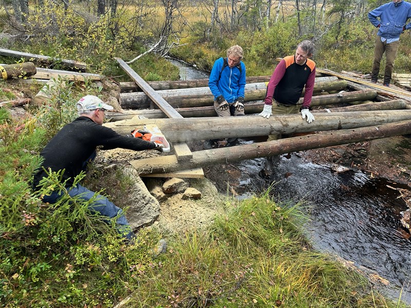 Lars Petter Fjeld med finsnitting med motorsag. Arne Bergan Andersen og Trond Faanes beundrer der de står i Svartbekkens utos. Foto: Trond Urdal