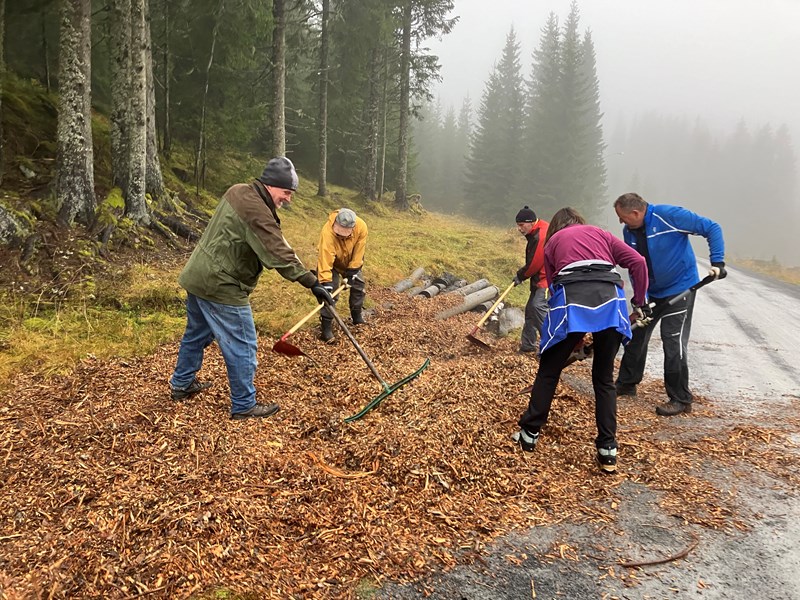 Ove Brandt, Trond Urdal, Kåre Hansen, Marit Kopstad og Arnfinn Strålberg drar ut flis ob bark langs Vollavegen. Foto: Ellen Furuseth