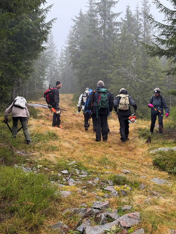 Dugnadslag på vei opp Formoløypa: Berit Fløgstad, Eirik Formo, Oddmund Mellemstrand, Tore Nilsen, Kim Zimmer, Terje Osmundsen og Ingrid Hartmark. Foto: Kari Zimmer