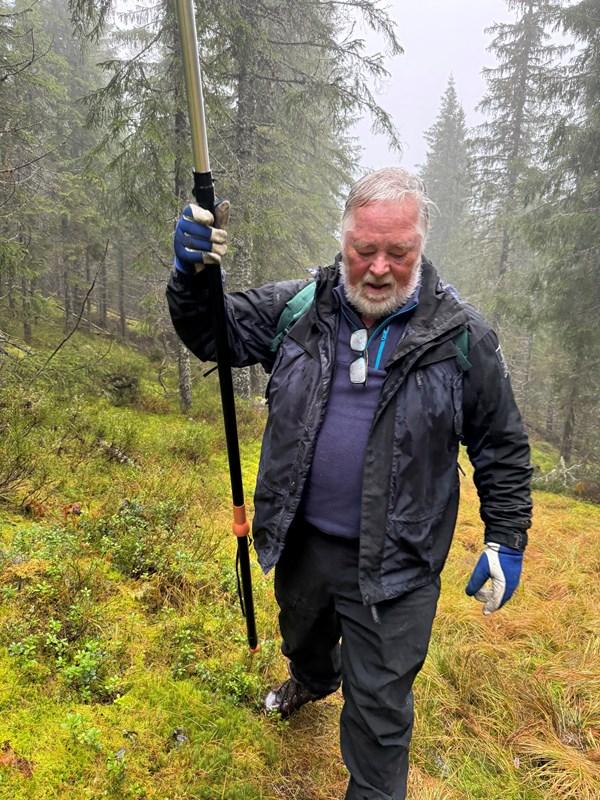 Kim Zimmer med lang greinsag i Formoløypa. Foto: Kari Zimmer