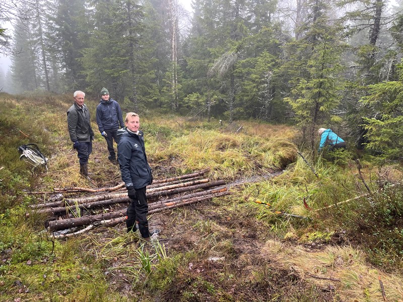 Jørgen Stang Heffermehl, Herman Heffermehl Løwenborg og Øystein Sundelin i Bislingløypa. Ny bekk som fikk bedre leie. Her ble skiløypa brutt først i vår, kanskje den holder lenger nå. Foto: Lene Li Dragland