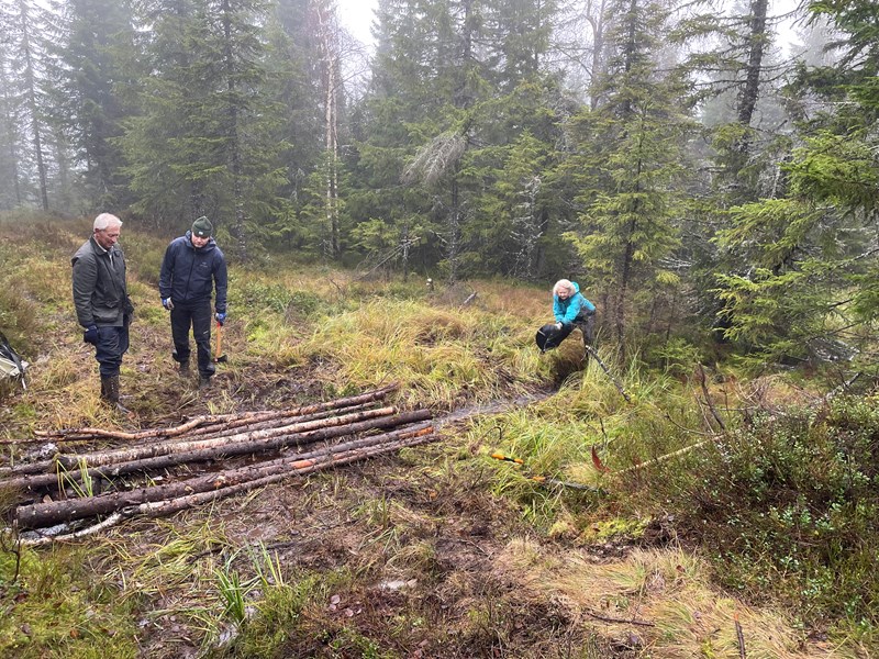 Jørgen Stang Heffermehl, Herman Heffermehl Løwenborg og Nina Rodem ferdig med drenering av den bekken. Foto: Lene Li Dragland