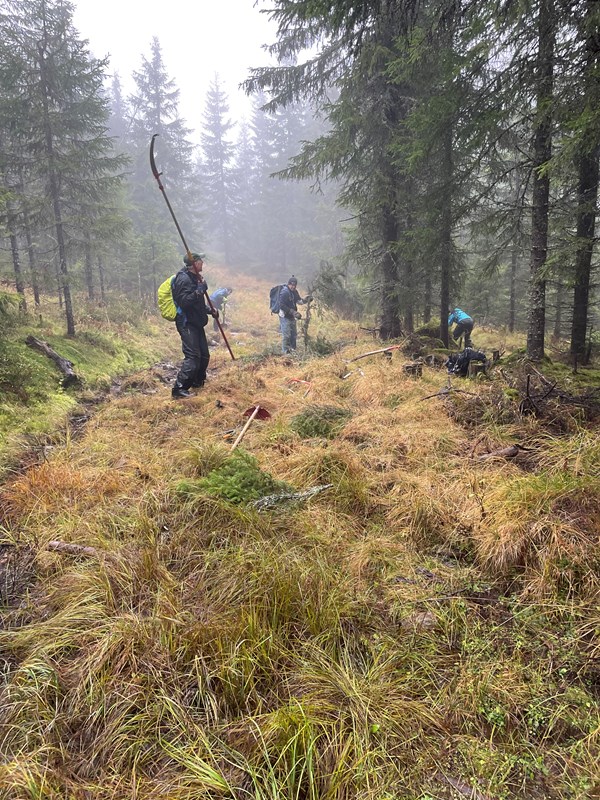 Jeanette Holter og Nina Rodem ved enda en bekk oppi Bislingløypa. Bent Rodem og Terje Stenberg rydder overhengene greiner. Foto: Lene Li Dragland