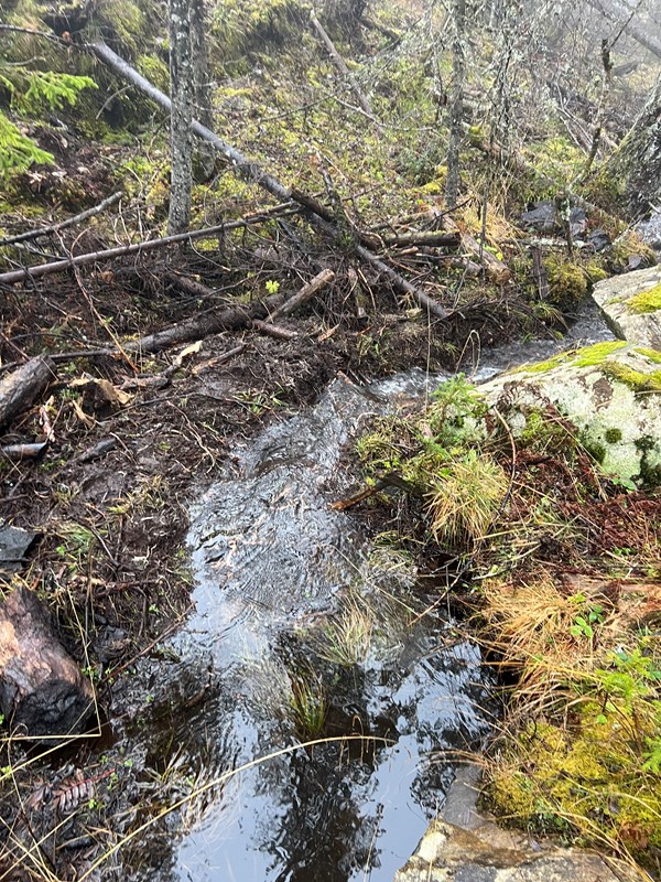 Dugnadsteamet i Vestenden, Tore, Tore og Axel fra Myllalia og Terje fra Øvre Oren ryddet bekken fra myra nedenfor Snålvegen slik at det nå er skikkelig vannføring. Foto: Terje Ermesjø